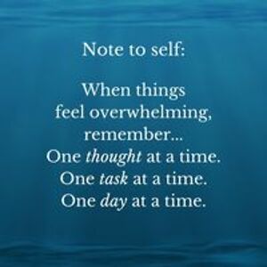 mariannelyman4 avatar