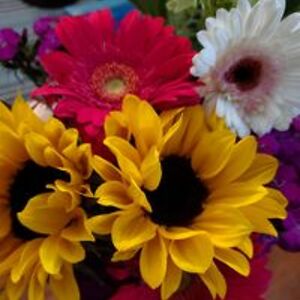 josephine_b_favre avatar