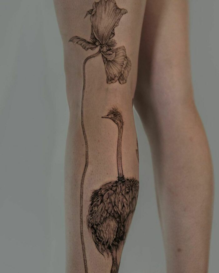 Ostrich And Poppy tattoo