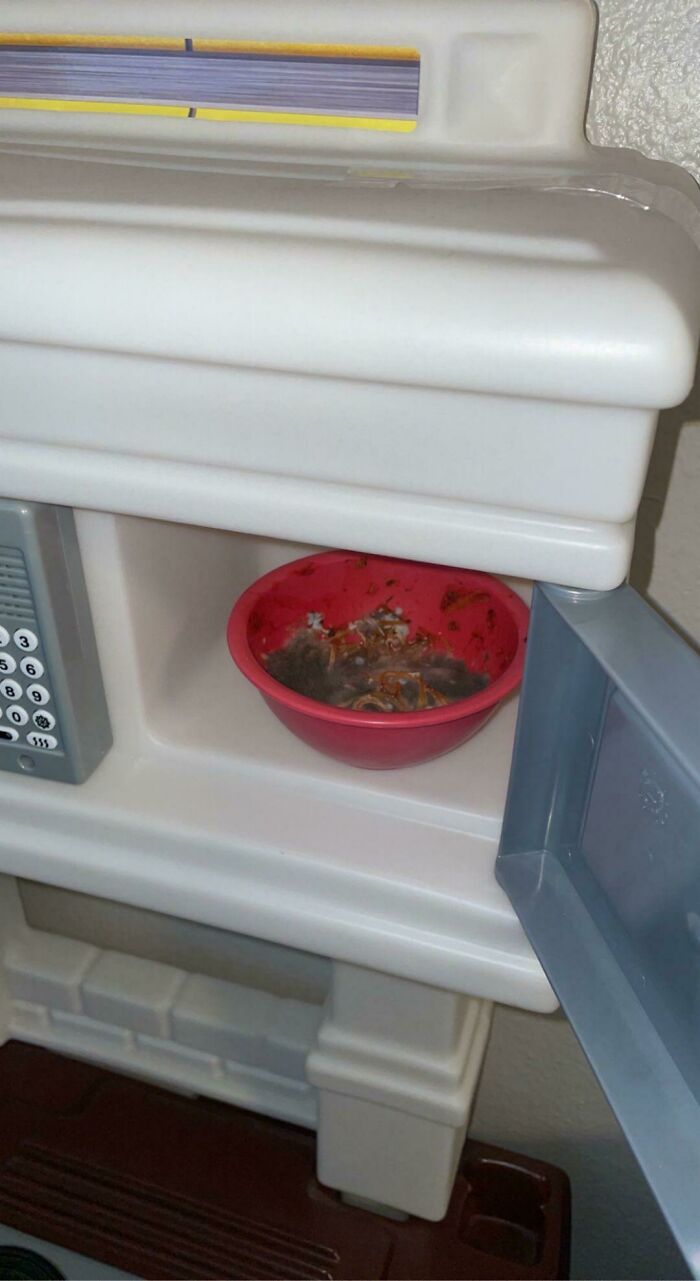 My Brother Said His 3-Year-Old Daughter Showed Him This In Her Play Microwave. He Didn’t Remember The Last Time They Had Spaghetti For Dinner