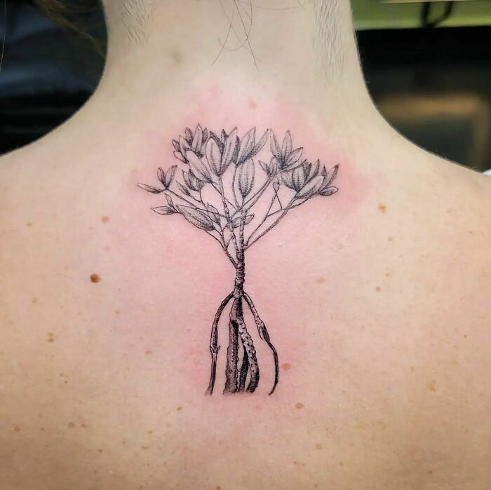 Mangrove tattoo