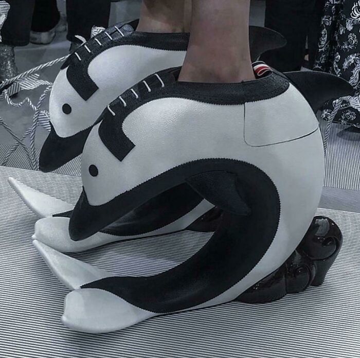 Weird shoes designed like penguins with exaggerated curves and unique black-and-white patterns.