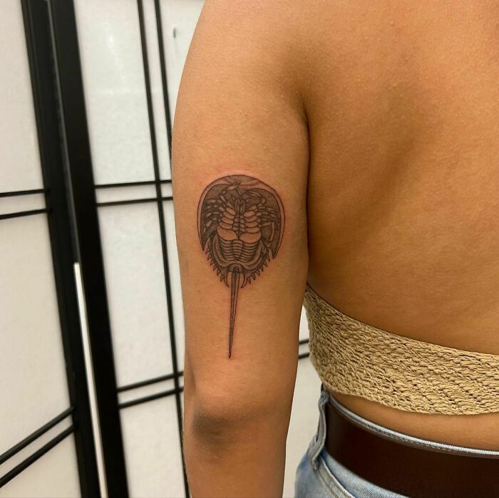 Horseshoe crab follow up 5rl 25 hrs I wanted to try shading but I got  scared Second pic shows the scale but also my foot so heads up   rsticknpokes
