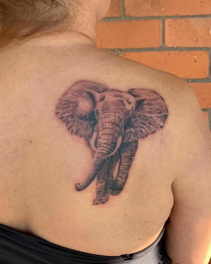 Elephant back tattoo 