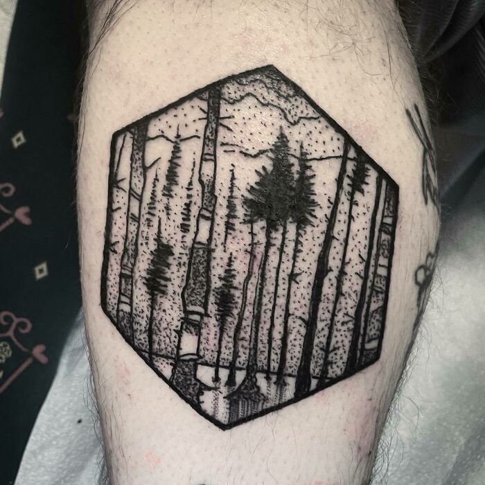 Birch Forest Hexagon Today For Jamie