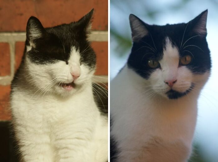 Winnie Is Always Up To Something, Aari Is Calm And Shy