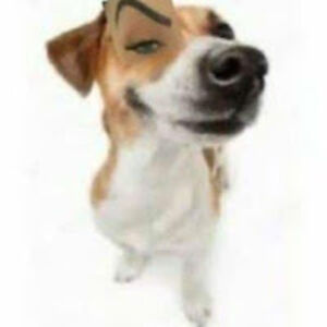 samanthasalamanca avatar