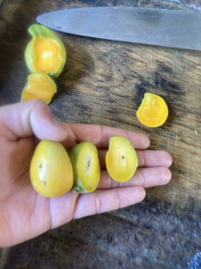 Las lluvias nos han bendecido con unos mangos dulces