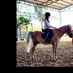 praowfahpaovarojkit avatar