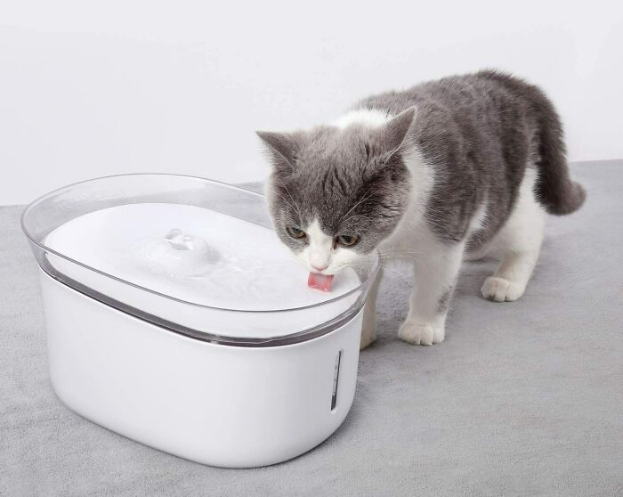 Smartphone Controlled Kitty Water Fountain