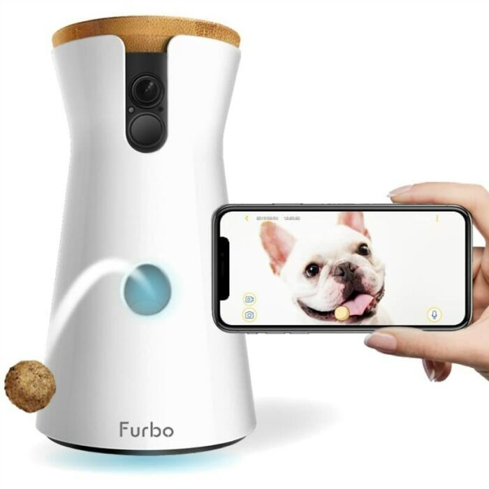 Treat Tossing Dog-Watching Wi-Fi Cam