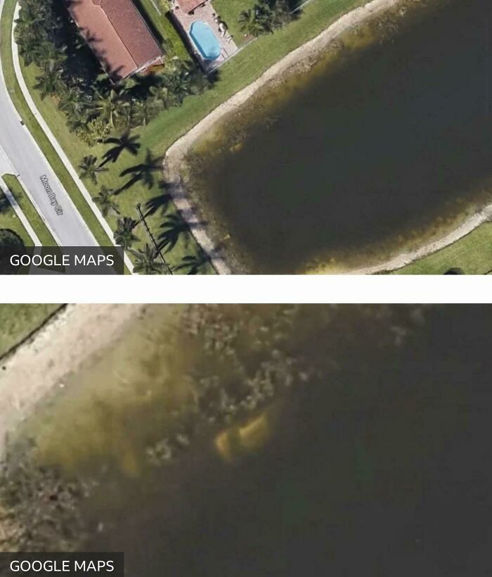 Un hombre de 40 años desapareció tras una noche de fiesta. 22 años después, un lugareño buscó en Google Maps y vio un coche en el lago. Cuando registraron el coche, encontraron dentro los restos óseos del hombre desaparecido