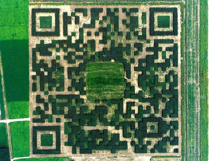 En un esfuerzo por impulsar el turismo, el pueblo chino de Xinhua construyó un código QR gigante con 130.000 árboles para que pudiera ser escaneado por los aviones que pasaban por allí