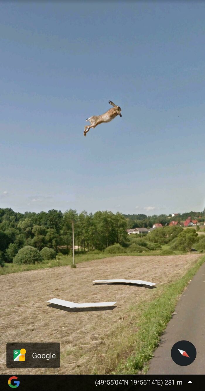 ¡¿Es un pájaro, es un avión, es un... un conejo volador en Polonia?! 49.9179962,19.9373255