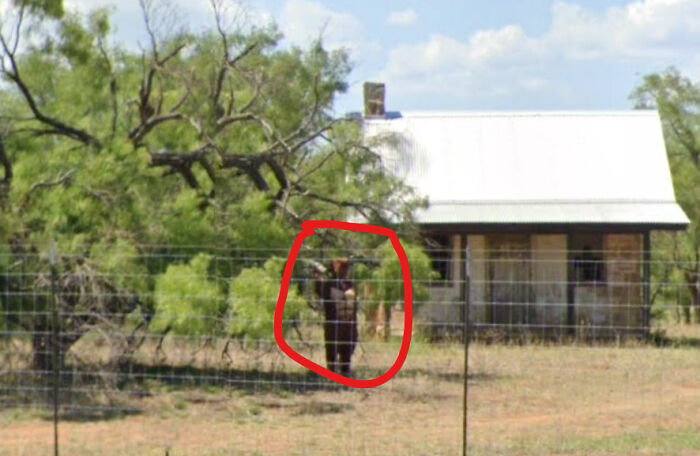A Weird Figure Looking Like A Standing Longhorn Or Something. Really Weird. Around The Area The Figure Is In The Same Position. 30.906786, -98.962897