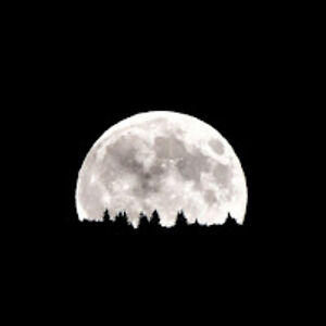 joh-marivanheerden avatar