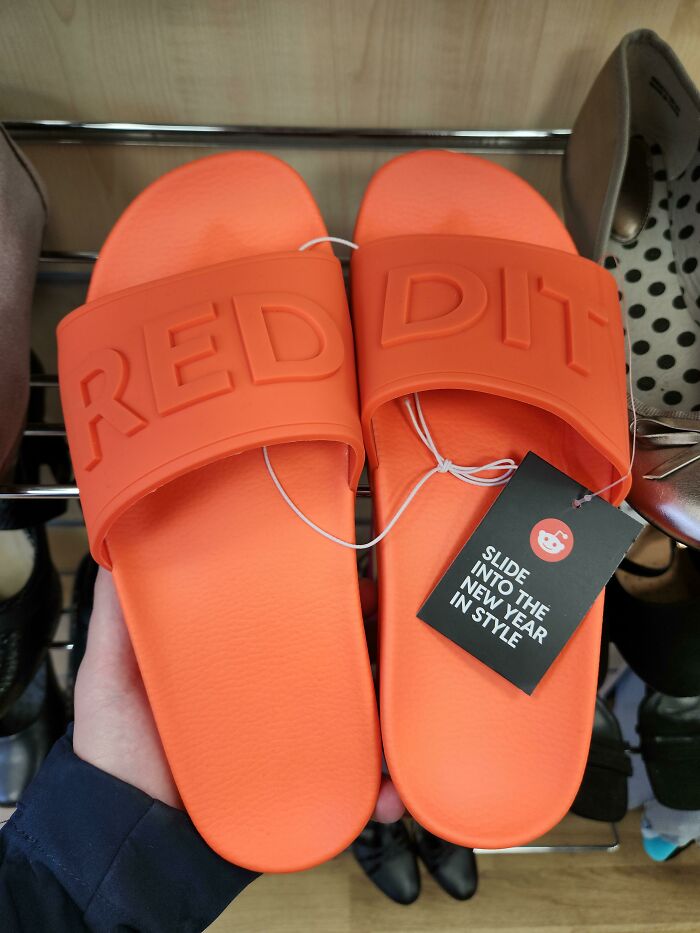 I Found Reddit Sliders At My Local Charity Shop