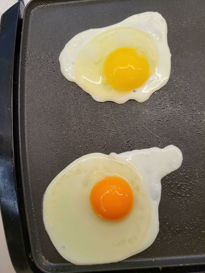 An Egg I Bought From A Farmer's Market (Bottom) Compared To A Store Bought One