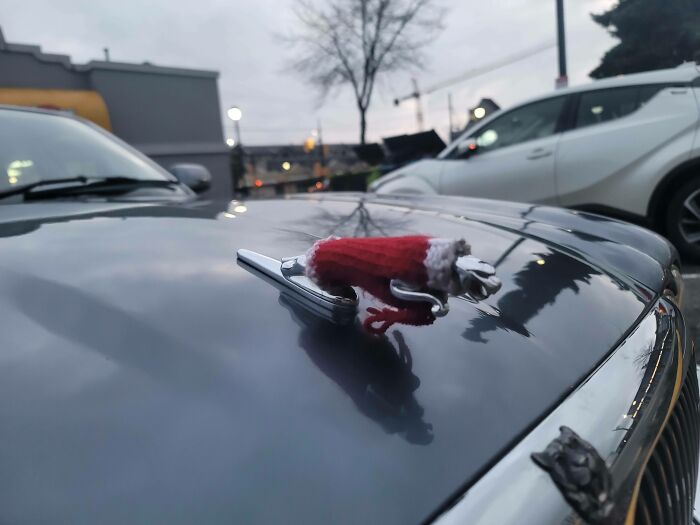 Someone Knitted A Sweater For Their Car's Emblem