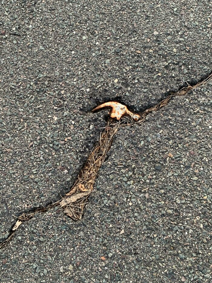 The Remains Of This Hammer Stuck In Asphalt