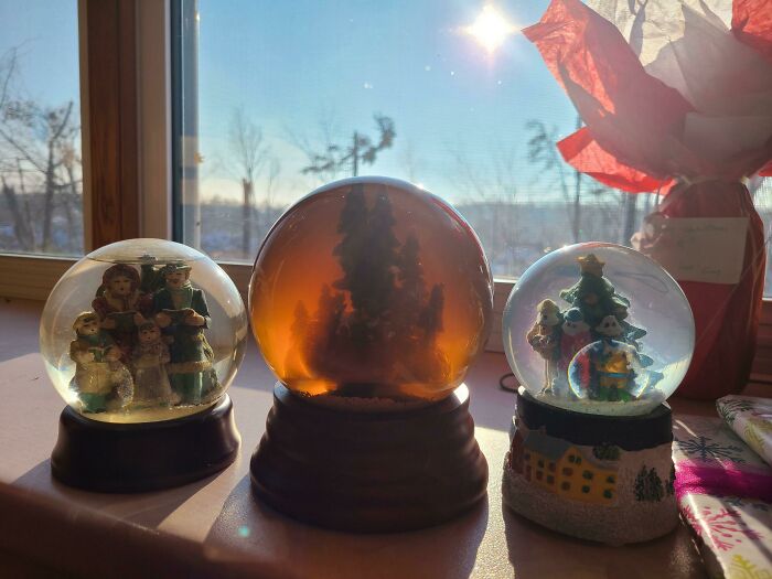 One Of My Snowglobes Has Turned Brown Inside