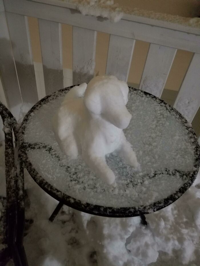 Este cachorro de nieve que mi mujer creó sin más