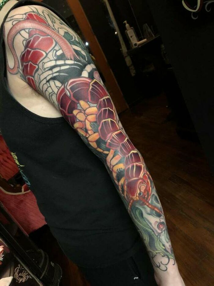 Color centipede arm sleeve tattoo