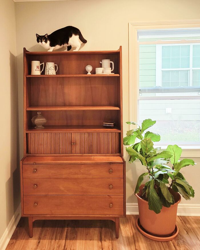 This Is Easily My Best Estate Sale Find Ever! I Bought A Vintage 1963 Drexel Secretary From Their Declaration Line With Perfectly Working Tambour Doors. Also Cat Approved