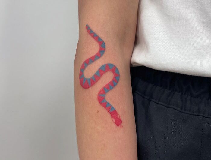Colorful snake animal tattoo on a person's arm, featuring a red and blue geometric pattern.