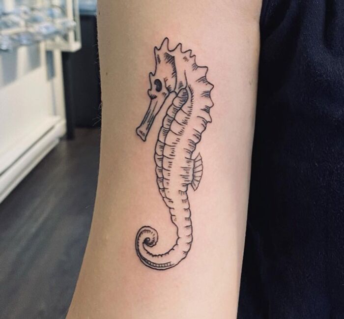 Seahorse tattoo on an arm, showcasing intricate animal tattoo design.