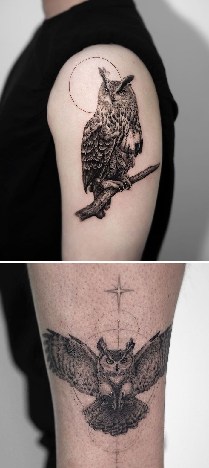Two tattoo images: one - realistic owl on branch and and other flying owl with star
