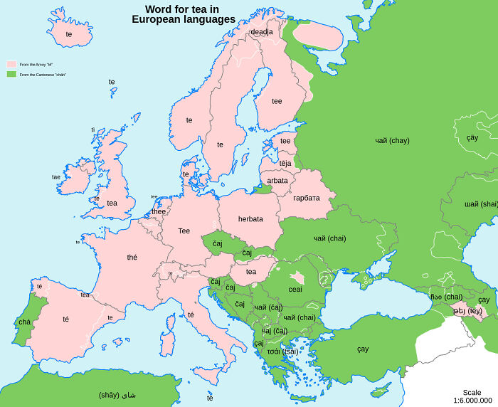 The Word For "Tea" In Languages Of Europe