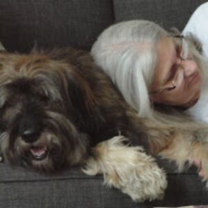 dremastringer avatar