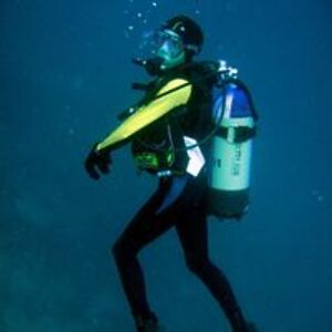 pinnettegialle avatar