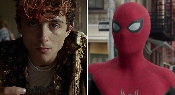 Timotheé Chalamet looking and Tom Holland with Spider-Man outfit