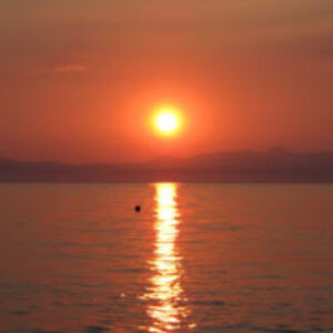 dinakartsonas avatar