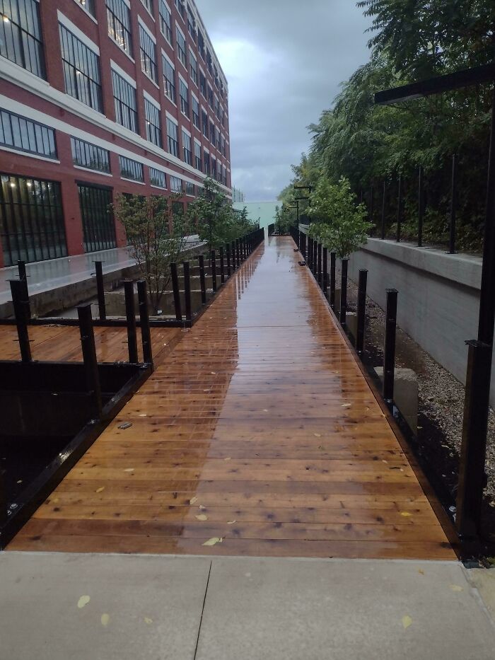 Cedar Boardwalk I Built Last Fall