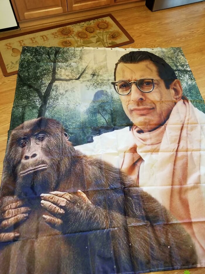 This Shower Curtain Arrived In The Mail Today.