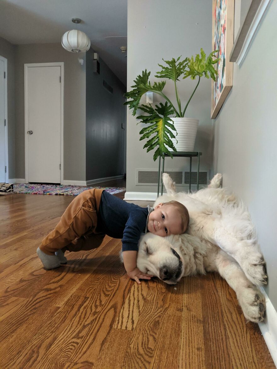 the child resting his head on a large white dog