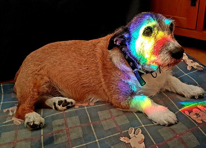 Mi hijo de 16 años se despertó en un arco iris