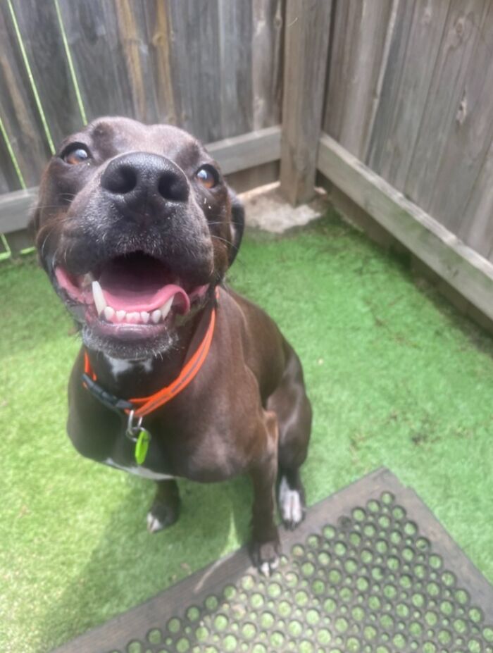 This Is My Adorable Boy