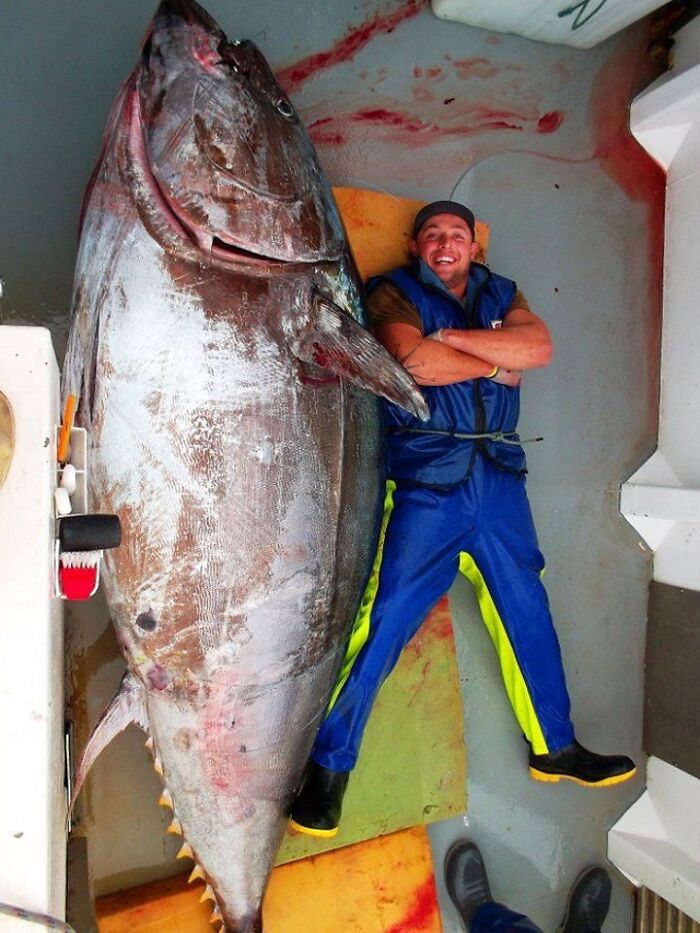 In Awe At The Size Of This Tuna, Caught Off The Coast Of New Zealand