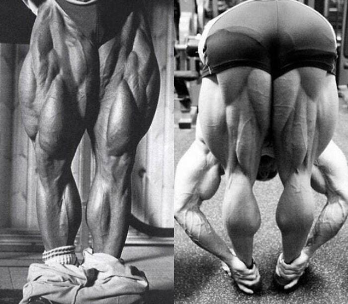 The Legs Of Tom Platz Who Was Aptly Nicknamed "The Quadfather"