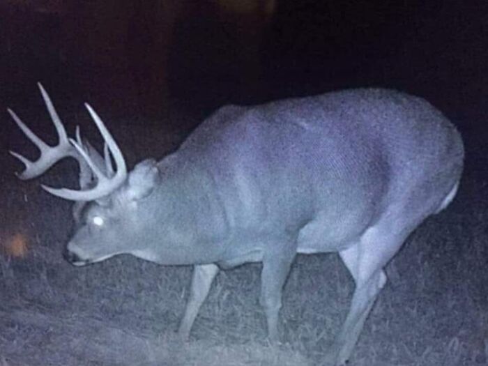 Beautiful Unit Spotted In The Night, I Am Absolutely Stunned