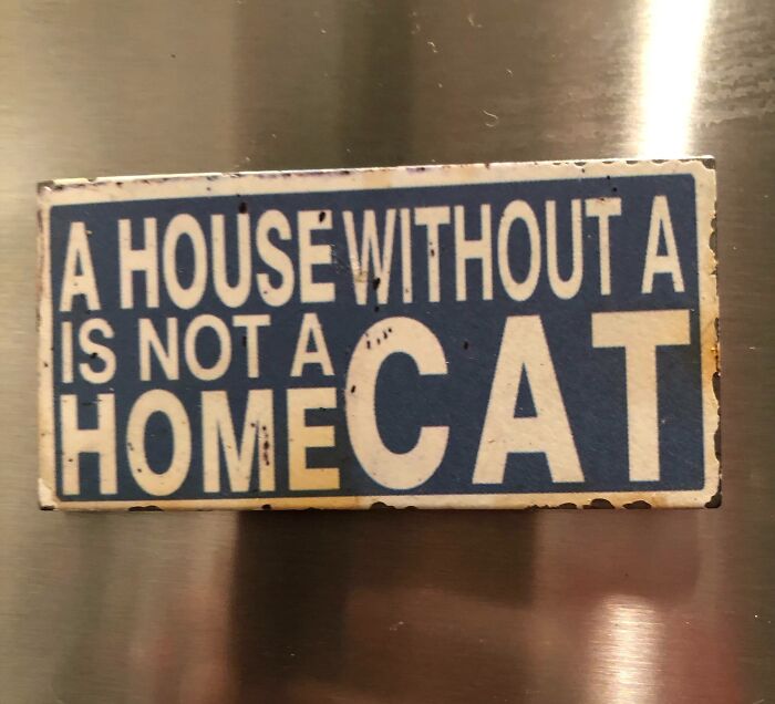 A House Without A Is Not A Cat Home