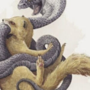 sarahgarland_1 avatar