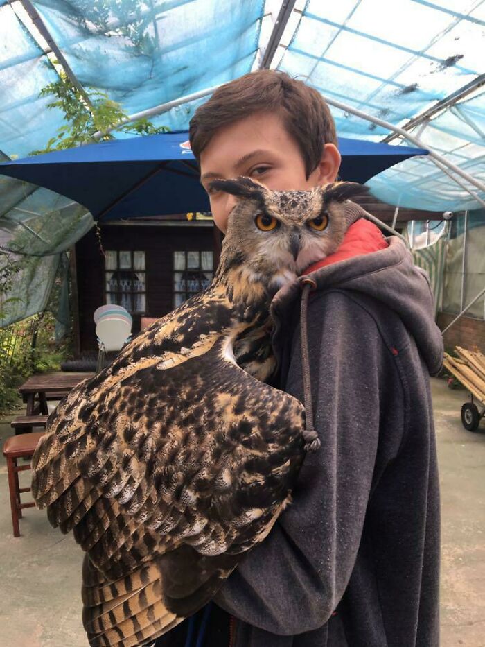 A Very Angry Looking Eurasian Eagle Owl Hugging Me