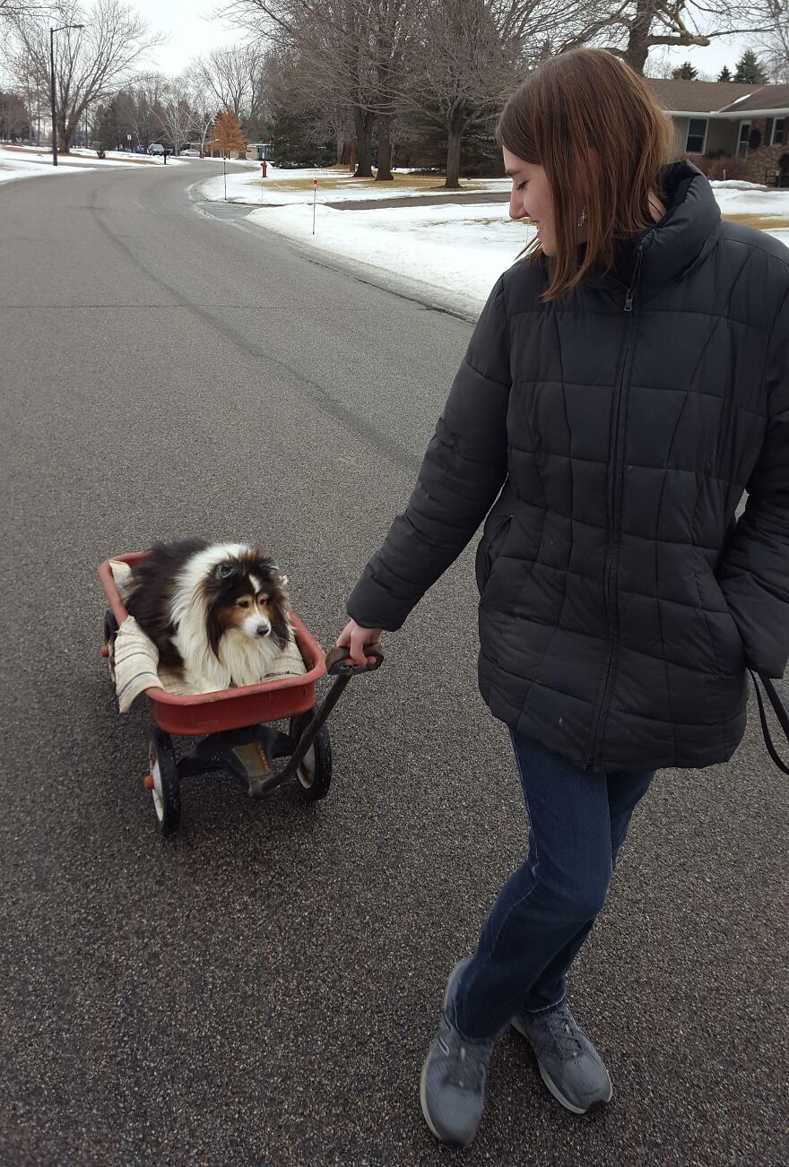 Girlfriend Taking Her 13 Year Old Dog For A Walk