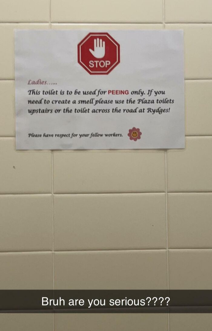 My Work Doesn’t Allow You To Use A Toilet As A Toilet