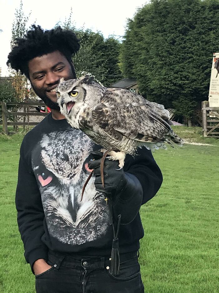 Took My Partner To Meet Some Owls For His Birthday. They Got On Superbowly